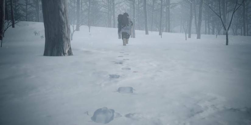 Tanjiro and Nezuko in Demon Slayer